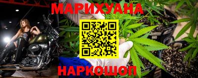 прущие грибы Новокубанск
