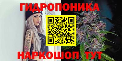 MDMA Новодвинск