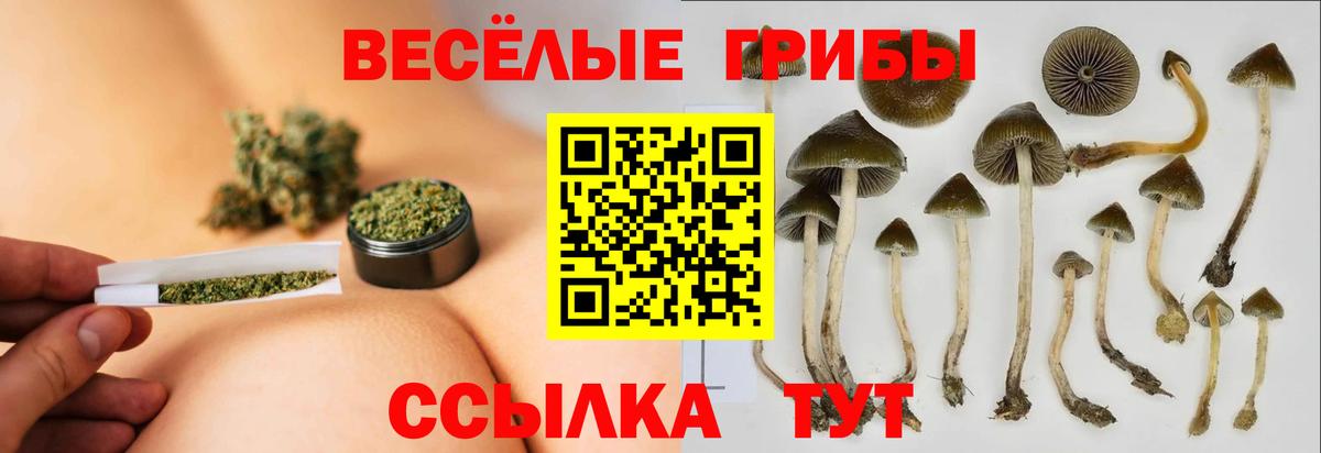 Псилоцибиновые грибы GOLDEN TEACHER  Вход с VPN  Галлюциногенные грибы ЛСД  Славгород 